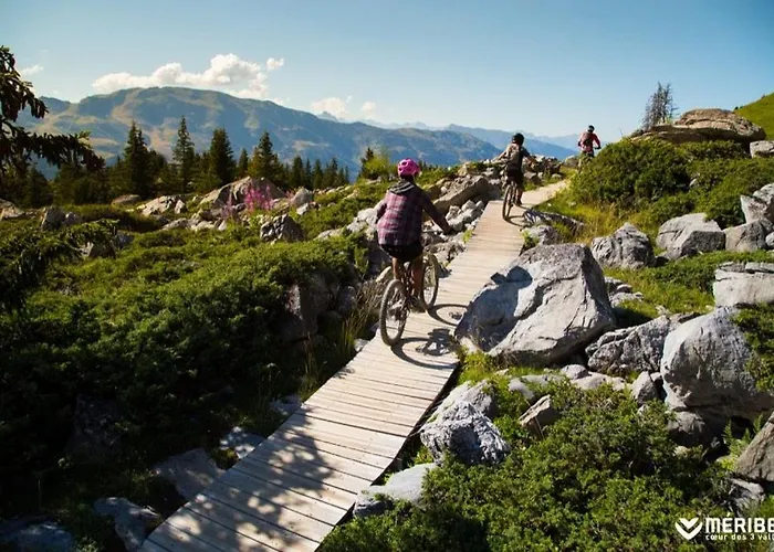 Apartament Alpinea Mottaret, 2 A 4 Pers